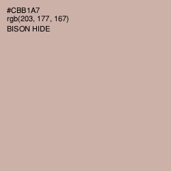 #CBB1A7 - Bison Hide Color Image